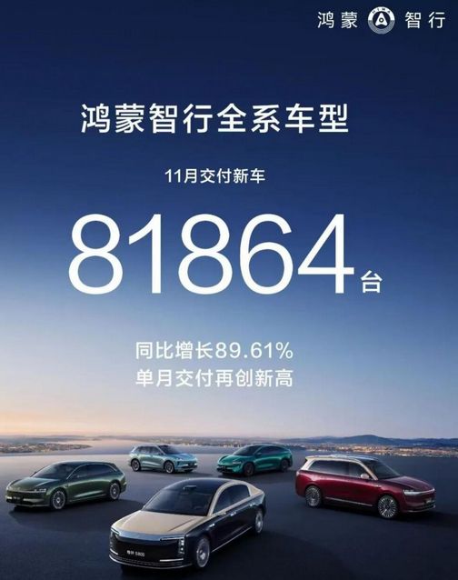 战：仅小鹏零跑小米达标新葡京2025销量之(图3)